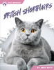 British Shorthairs