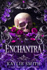 Enchantra: A spicy fantasy romance