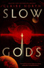 Slow Gods: A space opera of breathtaking imagination from the most original voice in speculative fiction