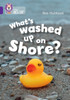 What's washed up on shore?: Band 08/Purple
