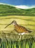 Wild Birds Pocket Notebook: Curlew