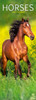 Horses Slim Calendar 2026  Horses Slimline Calendar - 12 Month