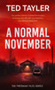 A Normal November: A Cold Case Murder Mystery Series