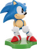 Sonic the Hedgehog Sliding Sonic
