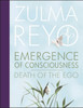 Emergence Of Consciousness: Death of the Ego