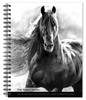 Horse, The Noble, The BrownTrout Portrait Series 2026 Engagement Diary