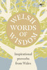 Welsh Words of Wisdom - Inspirational proverbs from Wales: Inspirational proverbs from Wales