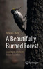 A Beautifully Burned Forest: Learning to Celebrate Severe Forest Fire