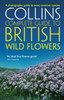 British Wild Flowers: A Photographic Guide to Every Common Species