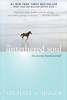 The Untethered Soul: The Journey Beyond Yourself