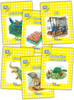Jolly Phonics Readers, Nonfiction, Level 2: In Precursive Letters (British English edition)