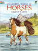 Wonderful World Of Horses Coloring Book