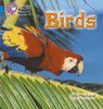 Birds: Band 04/Blue