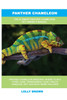 Panther Chameleon: The Ultimate Panther Chameleon Pet Owner's Manual