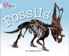 Fossils: Band 10/White
