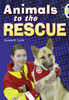 Bug Club Guided Non Fiction Year 2 Gold B Animals to the Rescue