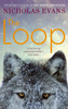 The Loop