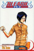 Bleach, Vol. 4