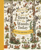 If You Go Down to the Woods Today: More than 100 things to find