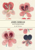 John Derian Paper Goods: In The Garden Notebooks
