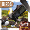 Birds - 9781786379887