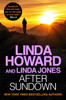 After Sundown: an irresistibly gripping romantic thriller