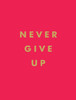 Never Give Up: Inspirational Quotes for Instant Motivation