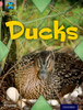 Project X Origins: Pink Book Band, Oxford Level 1+: My Family: Ducks