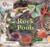Rock Pools: Phase 3 Set 1