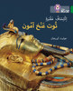 Discovering Tutankhamun’s Tomb: Level 15