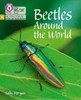 Beetles Around The World: Phase 5