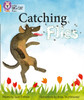 Catching Flies: Band 09/Gold