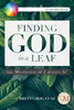 Finding God In A Leaf: The Mysticism Of Laudato Si'