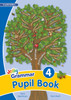 Grammar 4 Pupil Book: In Print Letters (British English edition)