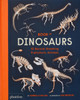 Book Of Dinosaurs: 10 Record-Breaking Prehistoric Animals
