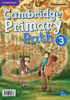 Cambridge Primary Path Level 3 Flashcards