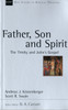 Father, Son and Spirit: The Trinity And John'S Gospel