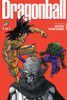 Dragon Ball (3-In-1 Edition), Vol. 6: Includes Vols. 16, 17 & 18