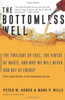The Bottomless Well: The Twilight of Fuel, the Virtue of Waste, and Why We Will Never Run Out of Energy