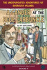 A Gander at the Blue Carbuncle
