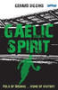Gaelic Spirit: Field of Dreams ... Home of History