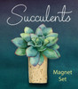 Succulents Magnet Set