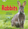 Bug Club Phonics - Phase 5 Unit 27: Rabbits