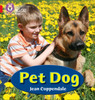 Pet Dog: Band 02A/Red A