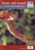 Stoats and Weasels