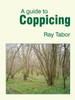 A Guide To Coppicing
