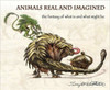Animals Real And Imagined: Fantasy Of What Is And What Might Be