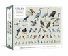 Sibley Backyard Birding Puzzle: 1000-Piece Jigsaw Puzzle with Portraits of Favorite North American Birds