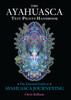 The Ayahuasca Test Pilots Handbook: The Essential Guide to Ayahuasca Journeying