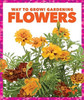 Flowers - 9781620312315